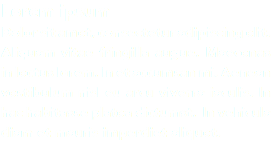 Lorem ipsum
Dolor sit amet, consectetur adipiscing elit. Aliquam vitae fringilla augue. Maecenas in lectus lorem. In et accumsan mi. Aenean vestibulum nisl eu arcu viverra iaculis. In hac habitasse platea dictumst. In vehicula diam et mauris imperdiet aliquet. 